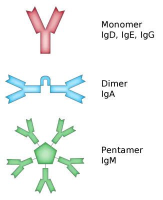 Standalone IgG Vs. Total IgM/IgG | Beckman Coulter