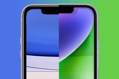 Apple Hub on X: \"The iPhone 11 Pro Midnight Green vs the iPhone 13 Pro  Alpine Green. Which one do you prefer? https://t.co/JaISkCBFL7\" / X