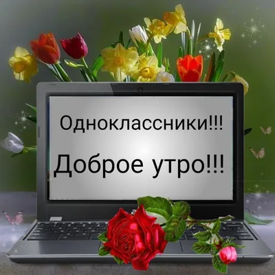 Создайте обложку для Одноклассников онлайн бесплатно | Canva