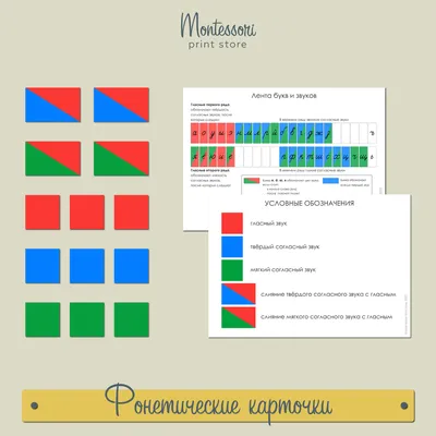 Мои первые 100 слов с окошками. Мое тело - купить с доставкой по Москве и  РФ по низкой цене | Официальный сайт издательства Робинс