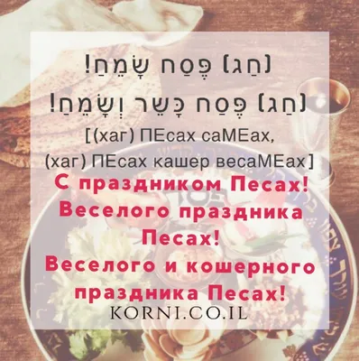 Песах, Моисей и наша Пасха — как они связаны? Что это за очередной  религиозный праздник в Израиле? | ПРОсто ИЗРАИЛЬ | Аня из России | Дзен