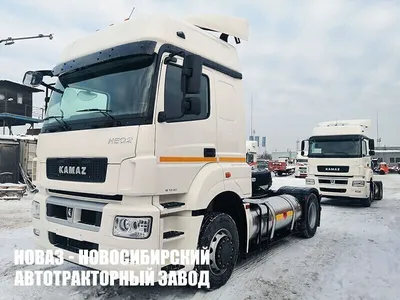 KAMAZ 5490 (RUS) | a rare silver color | Evgeniy Baranov | Flickr