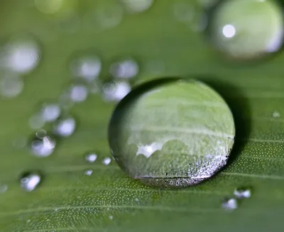 Капли воды\" Фотообои на стену. Фотопечать для шкафа купе. Стеклянные  панели. Купить.