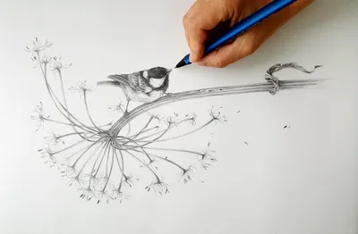 Рисунок карандашом изображающий …» — создано в Шедевруме