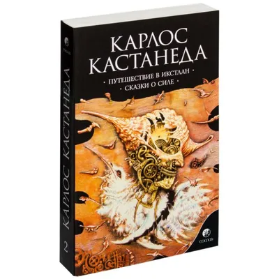 Карлос Кастанеда. Жизнь и смерть Воина, Борис Булгаков – скачать книгу fb2,  epub, pdf на ЛитРес