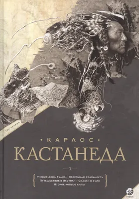 Колесо времени. Беседы с Карлосом Кастанедой | Кастанеда Карлос Сезар Арана  - купить с доставкой по выгодным ценам в интернет-магазине OZON (231648374)