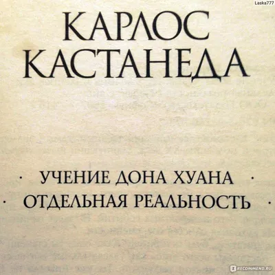 Карлос Кастанеда - Колесо времени, Беседы с Карлосом Кастанедой — купить в  Красноярске. Состояние: Б/у. Религия, оккультизм, эзотерика на  интернет-аукционе Au.ru