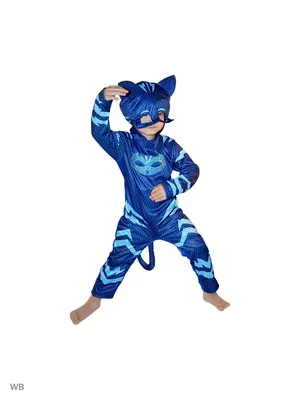 Купить Just Play PJ Masks Герои в масках Кэтбой и Ромео 24810 Light-Up Hero  and Villian Catboy vs. Romeo 2-Pack Figure Set по отличной цене в Киеве