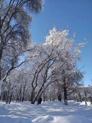 Холодно ... ~ Открытка (плейкаст)