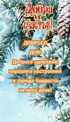 Книга Феникс Премьер Солнце внутри. Книга для хорошего настроения купить по  цене 552 ₽ в интернет-магазине Детский мир