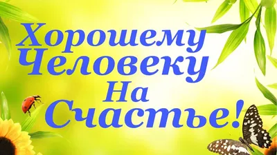 Шоколадный набор Хорошему человеку (DA Chocolate) - купить с доставкой по  выгодным ценам в интернет-магазине OZON (352849880)