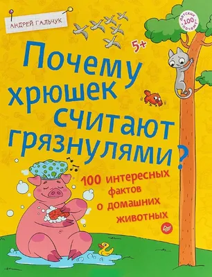 Камбоджийские мускулистые свиньи: Фермер изъял у хрюшек ген контроля роста  мышц, и они превратились в монстров-качков | Пикабу