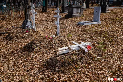 Шум над погостом. Что реально происходит с русским кладбищем  Сент-Женевьев-де-Буа и почему российская пропаганда прикопалась к Франции —  Новая газета