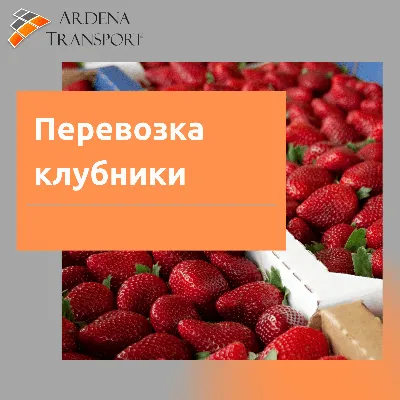 Удобрение 5М, для клубники, минеральное, гранулы, 1 кг, Фаско в Москве:  цены, фото, отзывы - купить в интернет-магазине Порядок.ру