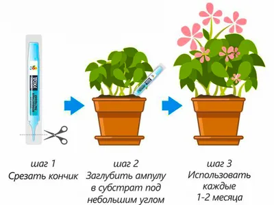 Почему сохнут листья у комнатных цветов