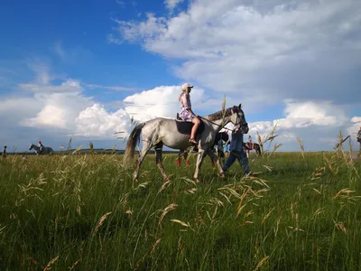 Комплект фигур коней Тройка купить недорого, цены от производителя 166 500  руб.