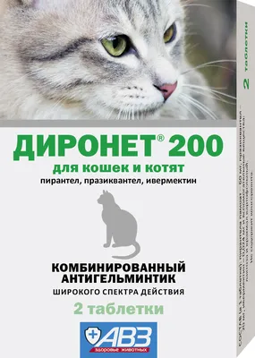 Как Отличить Британского Котенка От Обычного? Отличительные Черты, Признаки