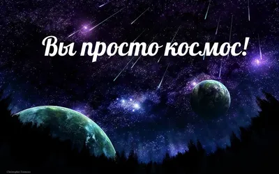 Росток надписи био и зеленый в черной почве, космос для текста и взгляд  сверху Стоковое Изображение - изображение насчитывающей среда, хуторянин:  148060645