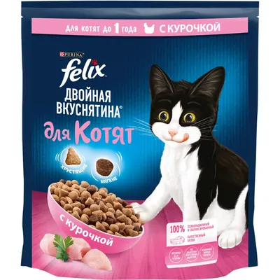 Продажа шотландских котят