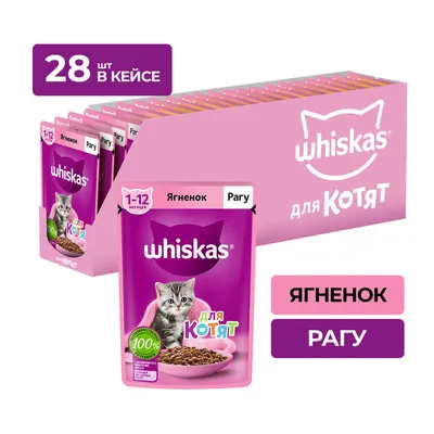 Как приучить котенка к лотку: 5 этапов быстрого приучения котят к туалету в  квартире