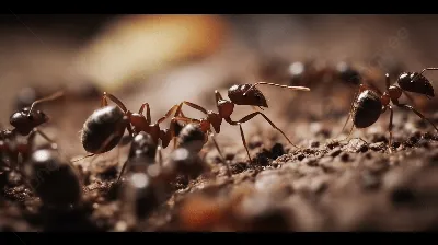 Люди, которые двигаются под музыку