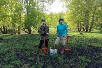 4 знака Зодиака, которые легко сдаются: можно ли это исправить - МЕТА