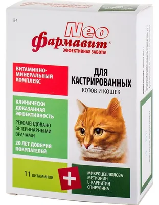 Купить Сухой корм Purina ONE® для стерилизованных кошек и котов с лососем и  пшеницей, пакет, 1,5 кг -официальный интернет-магазин Purina