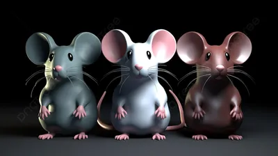 Крыса. Векторная иллюстрация мультяшной крысы | Cartoon rat, Cute drawings,  Mouse drawing