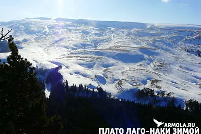 Плато Лаго-Наки - лучшее место для неопытных туристов | По Кубани и Кавказу  | Дзен