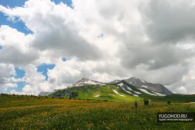 Плато Лаго-Наки (Лагонаки): фото красивых горных видов на маршруте к Оштену