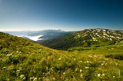 Плато Лаго-Наки в Адыгее: фото, цены, история, отзывы, как добраться