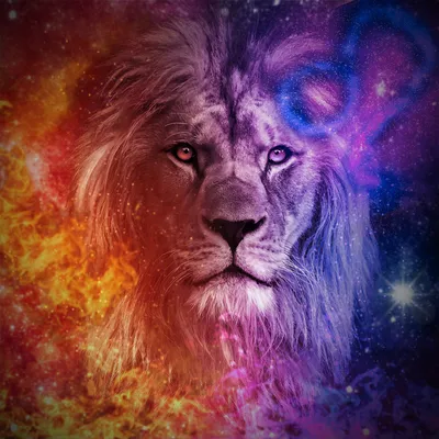 Wall Art Print | Leo | Abposters.com