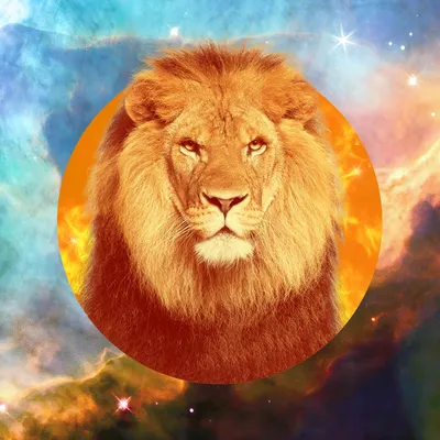 Leo Tarot Horoscopes: January 2024 | Glamour