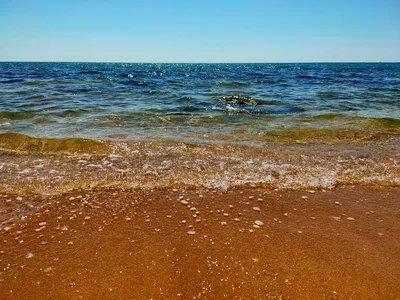 Обои лето закат пляж море пальмы солнце отдых на рабочий стол