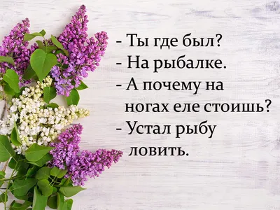 Скорей бы уже зима, можно будет спокойно сидеть дома. А то сидишь дома всё  лето и как-то неспокойно…😀Позитив здесь. | Юморные просторы | Дзен