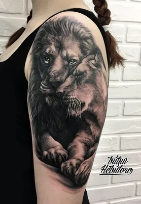 Stanislav_Tattoo - #татуировкалевильвица #татулевильвица #татулев  #татульвица #татулевцветы #лев #львица #левтату #левтатуировка  #львицататуировка #тату #татуировка #tattoo | Facebook