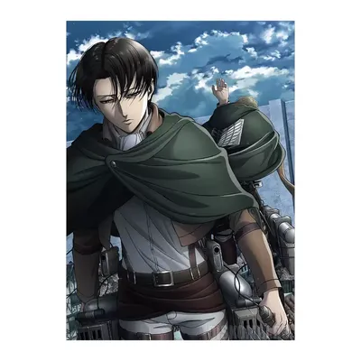 Леви Аккерман | Attack on titan levi, Attack on titan, Anime