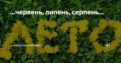 Центральна міська бібліотека для дітей м. Черкаси: Черкаська центральна  міська бібліотека для дітей представляє народознавчу веселку «ЧОМУ ЛИПЕНЬ  ЛИПНЕМ НАЗВАЛИ»