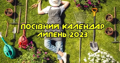 Місячний посівний календар на липень 2023 - Поради