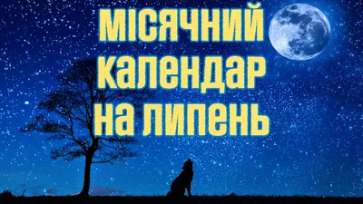 Липень в саду - Блог питомника 'Зелені Янголи'