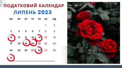 Прогноз погоди на липень 2023: якою буде середина літа в Україні