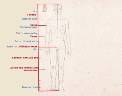 Человек для срисовки в полный рост