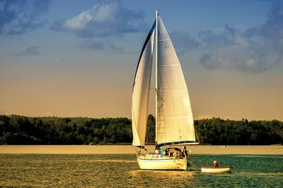 Лодка \"Аллигатор\" с парусом - картинка из статьи «Лодка-дори «Аллигатор»» -  Barque.ru