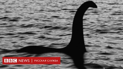 Лохнесское чудовище, болотного цвета …» — создано в Шедевруме