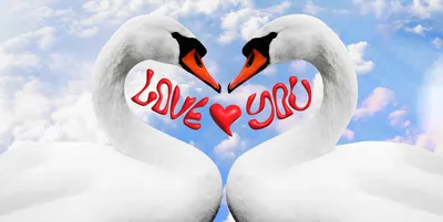 1000+ Love Background Images [HD]- Download Love Backgrounds for Free