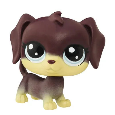 Зверюшка Littlest Pet Shop - Такса Dara Longville купить в  интернет-магазине MegaToys24.ru недорого.