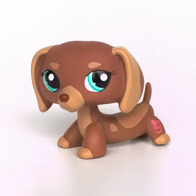 Lps #909. Такса littlest pet shop. Hasbro. Прозрачный шарнир! - 350 грн,  купить на ИЗИ (8002565)