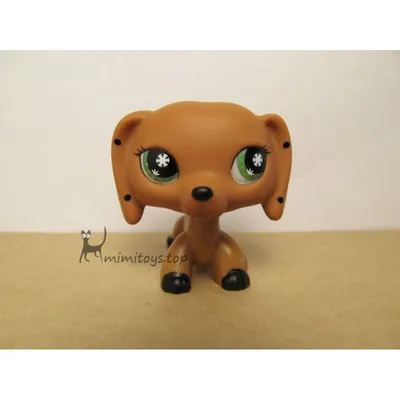 Купить Собаки Littlest Pet Shop LPS с качающейся головой Игрушки Коричневая  такса #1751 Без магнита, цена 1 590 руб — (224517203980)