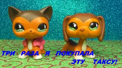 LPS CAT Редкий маленький зоомагазин, игрушки, подставки с короткой шерстью,  котенок, собака, такса, колли, спаниель, дог, оригинальные игрушки с  качающейся головой – лучшие товары в онлайн-магазине Джум Гик