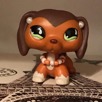 team savvy who's with me | Lps popular, Lps littlest pet shop, Little pet  shop toys